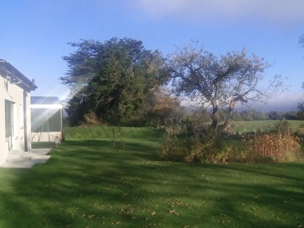 The Dairy Lodge Kilmallock Buitenkant foto